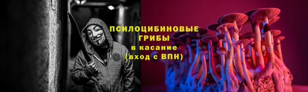 ешки Балахна